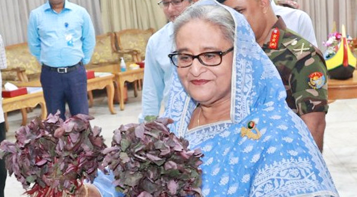 বুধবার (৫ এপ্রিল) গণভবনে আনা হলে প্রধানমন্ত্রী সেগুলো পরিদর্শন করেন।